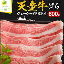 【ふるさと納税】 天童牛 ジューシー すき焼き 肉 ( ばら ) 600g国産 黒毛和牛 和牛 牛肉 ブランド牛 山形牛 贈答用 お中元 お歳暮 ギフト プレゼント お取り寄せ ご当地 グルメ 食品 冷凍 送料無料【山形県 天童市】