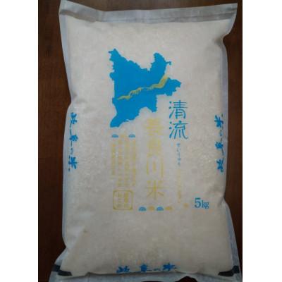 ふるさと納税 岐阜市 【毎月定期便】岐阜市産 ハツシモ 清流長良川米 精米 15kg(5kg×3袋)　全3回