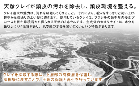 シャンプークレイエステ プライミングシャンプーゴールドクレイ400ml《30日以内に出荷予定(土日祝除く)》【配送不可地域あり】（沖縄・離島）シャンプーシャンプーシャンプー