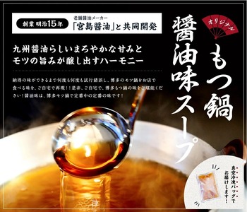 博多もつ鍋 3～4人前 醤油味 a9434 もつ鍋