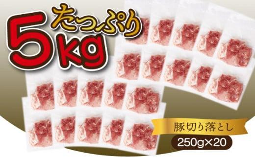 ＜2026年1月発送分＞宮崎県産 豚肉切り落とし 250g×20パック 合計5kg
