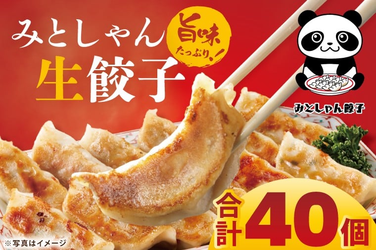 
            旨味たっぷり！本場プロの中華料理人が作る みとしゃん生餃子 40個【香香 シャンシャン 中華 人気 老舗 焼き餃子 冷凍 ぎょうざ ギョーザ シューマイ簡単調理 惣菜 おかず 水戸市 茨城県】（CS-2）
          