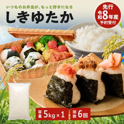 ふるさと納税 加西市 定期便 米 令和8年産 先行受付 しきゆたか 白米5kg 6か月連続お届け[No5698-2806]