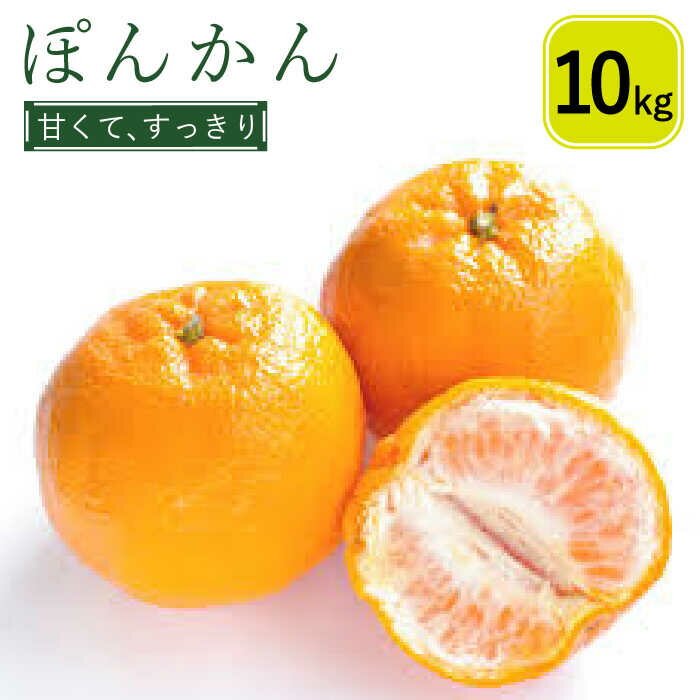 【ふるさと納税】【2026年1月～発送】ぽんかん 10Kg（M〜3L）/ ぽんかん ポンカン みかん ミカン 蜜柑 柑橘 フルーツ 果物 / 南島原市 / 日野江 [SCY004]