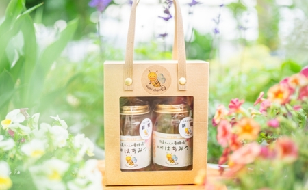 はちみつ 五つ星ひょうご認定商品 有美ちゃんの養蜂場の純粋はちみつ 270g 2個 セット ハチミツ 蜂蜜 非加熱 生はちみつ 国産 セット ハニー 加工品 