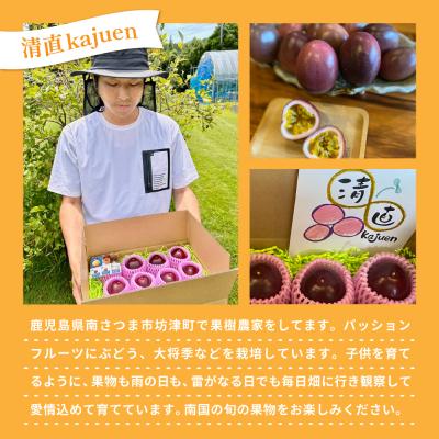 ふるさと納税 南さつま市 鹿児島県産 パッションフルーツ 約2kg(10〜12個程度×2箱) 先行受付 ◆6〜8月順次お届け◆ |  | 03