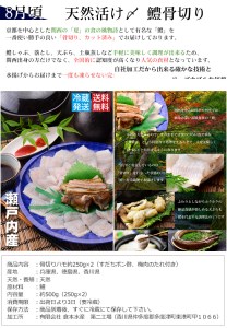 【定期便】瀬戸内海鮮「旬」お届けセット（1年で6回のお届けとなります）【G-1】