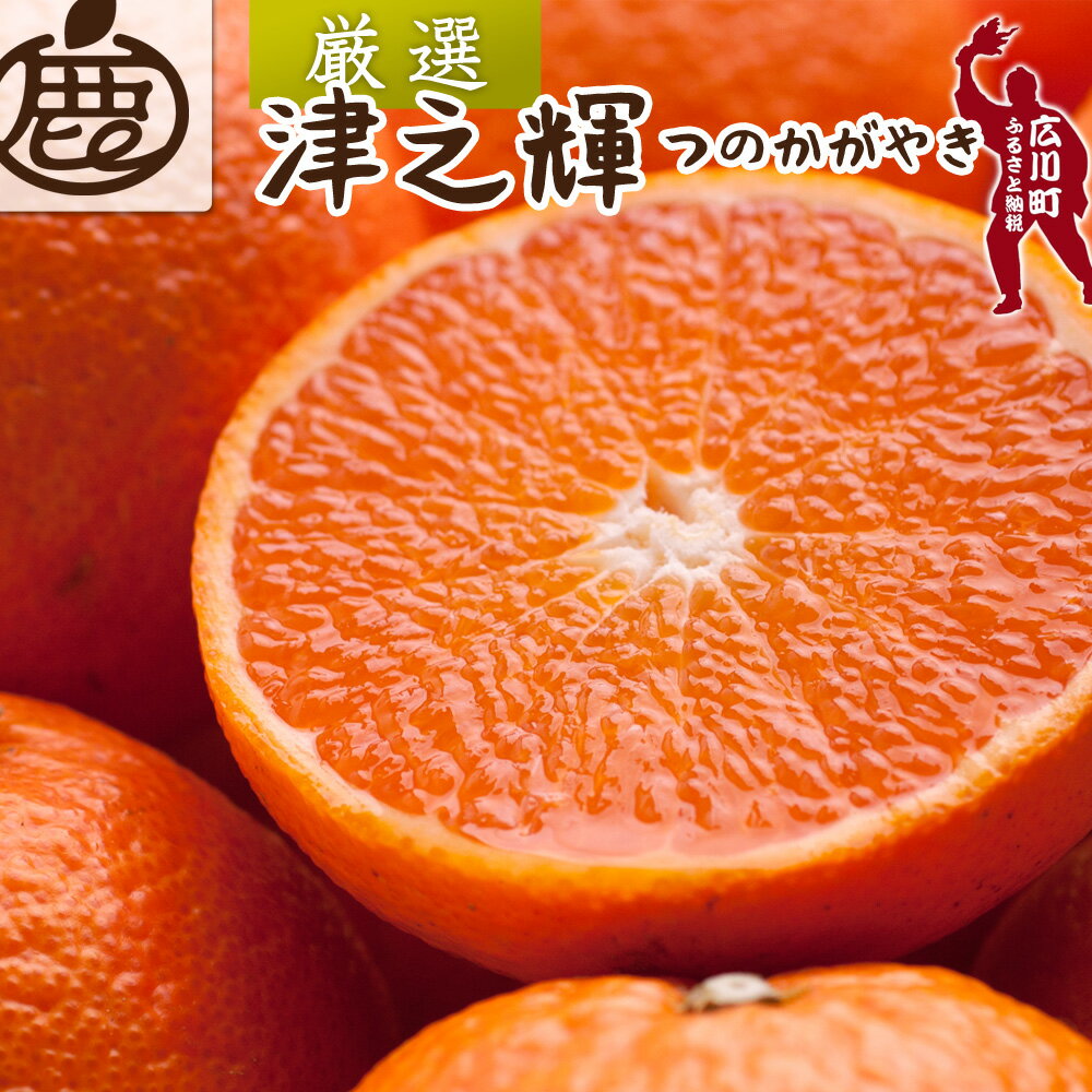 【ふるさと納税】 津之輝 厳選 光センサー 選果 / 高級 甘い つのかがやき 和歌山 柑橘 1kg 5kg 10kg ※2月上旬〜3月下旬頃に順次発送予定 ※北海道・沖縄・離島への配送不可 //dekopon