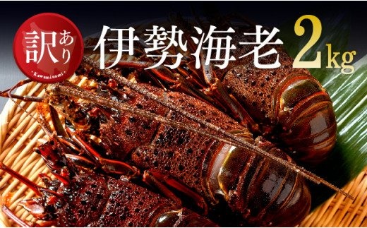 【訳あり】冷凍伊勢海老2kg（3～10尾） 【 伊勢海老 イセエビ 訳あり 魚介 】 [C01707]