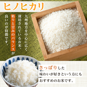 i1079-A ＜令和7年産 新米＞鹿児島県 出水市産 ヒノヒカリ (5kg) 米 5kg ひのひかりヒノヒカリ 鹿児島 5キロ お米 九州 九州産 甘み あっさり もちもち 新米 【いずみキッチン】