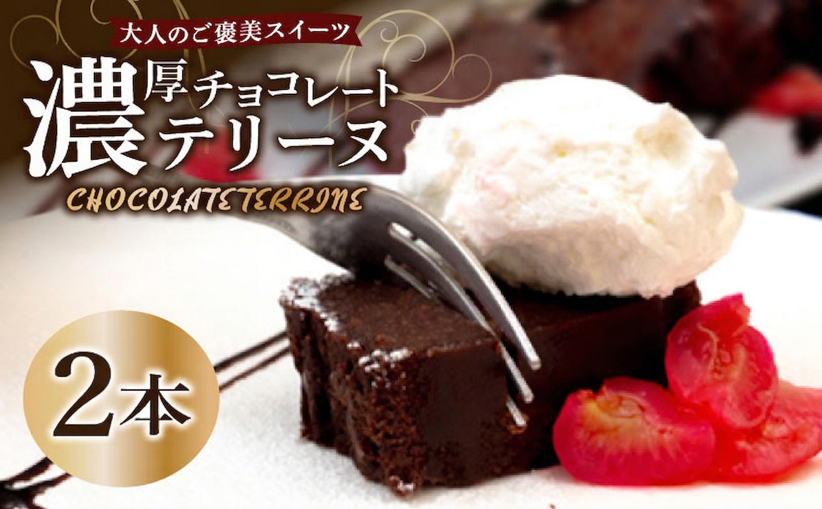 テリーヌ ショコラ 2本 バレンタインチョコ チョコレート 生チョコ ショコラ ケーキ デザート スイーツ テリーヌ 甘い おいしい 美味しい スイーツ お菓子 おやつ お土産 贈り物 お祝い 誕生日