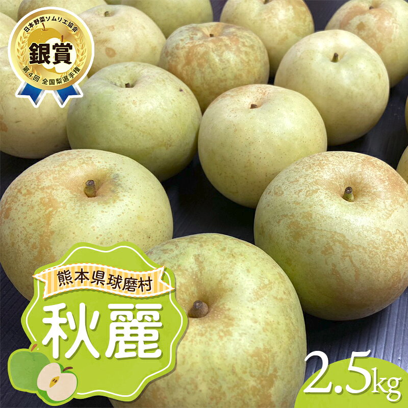 【ふるさと納税】秋麗 2.5kg（5～6玉） 梨 果物 フルーツ 特産品 FKP9-720