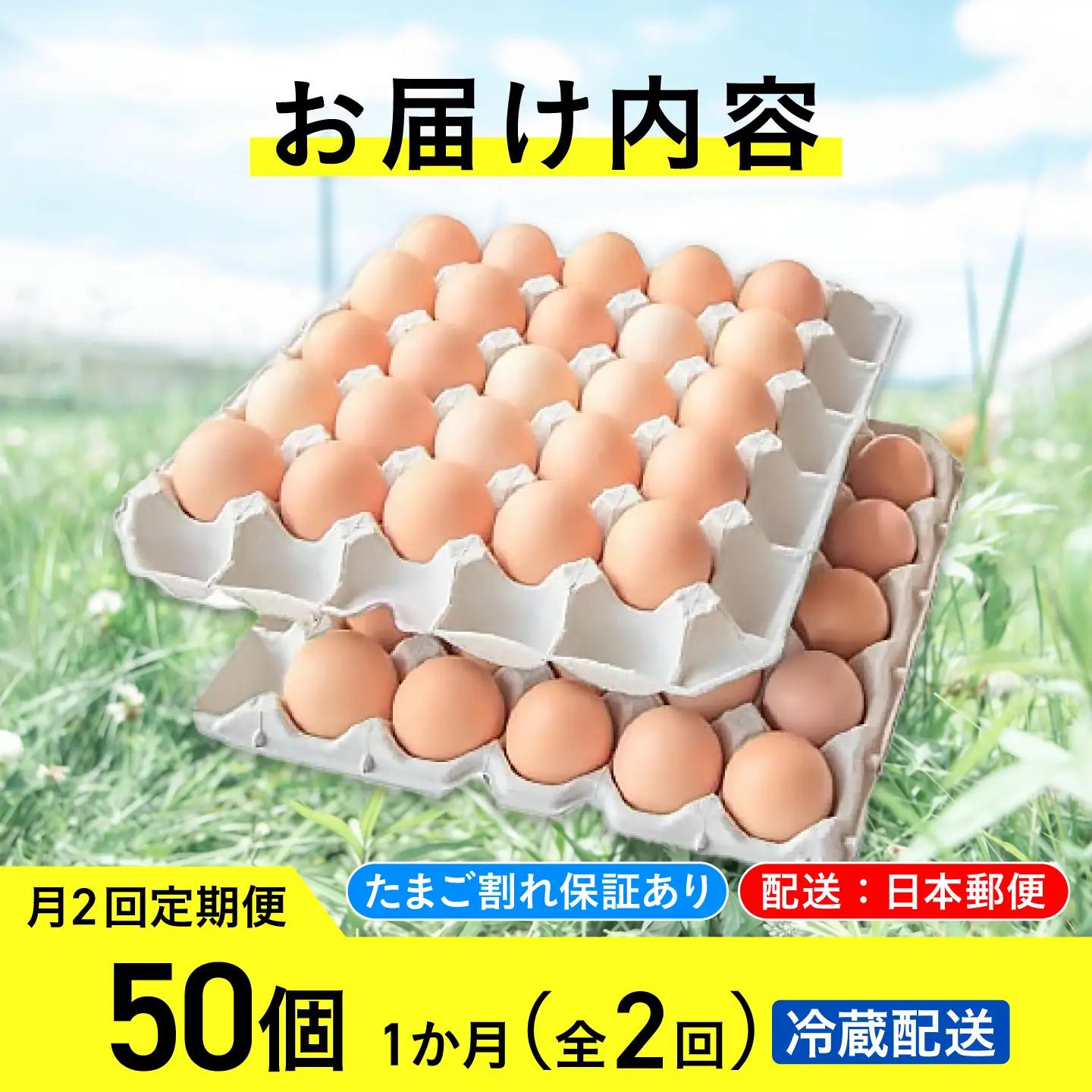 【月2回 1ヵ月定期便】平飼い有精卵 50個 計100個 冷蔵便  [AXAN019]