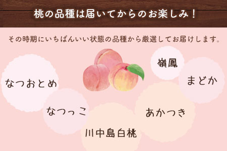 【2026年 先行予約】 桃 季節のおすすめ 約1.8kg～2kg もも フルーツ 果物 白桃 あかつき なつおとめ まどか 瑞鳳 なつっこ 川中島白桃 熊本県荒尾市産 桃 髙口果樹園《2026年7月