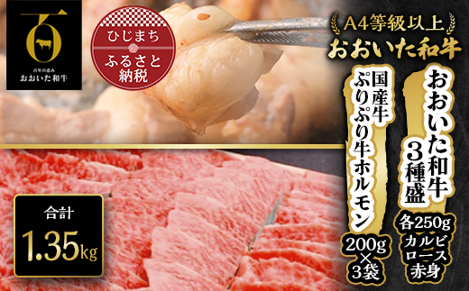 
おおいた和牛3種盛&ぷりぷり牛ホルモン(合計1.3kg) 焼くだけで本格焼き肉の味【1112604】
