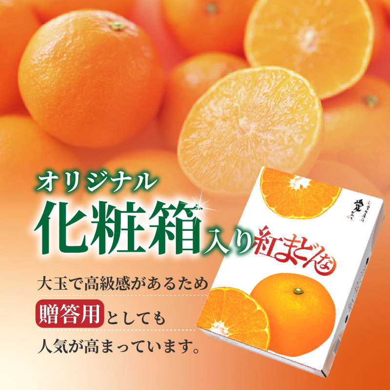 【先行予約】紅まどんな JAえひめ中央 正規化粧箱入 等級：青秀以上 JA 紅まどんな 紅マドンナ まどんな マドンナ みかん ミカン 蜜柑 果物 くだもの フルーツ 柑橘 柑橘類 かんきつ 愛媛果試
