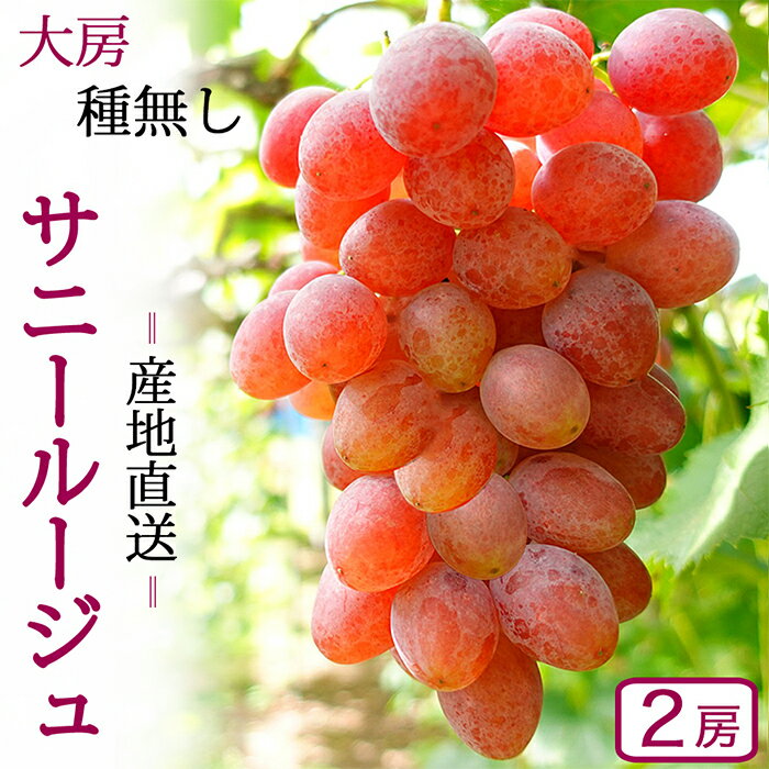 【ふるさと納税】＼先行予約／【数量限定】岩手県産ぶどう サニールージュ 約1kg (AR031) 8月下旬発送開始 希少品種 紫波町産 贈答品 ギフト フルーツ 葡萄 ブドウ 2房 高品質 完熟 甘い 新鮮 産地直送