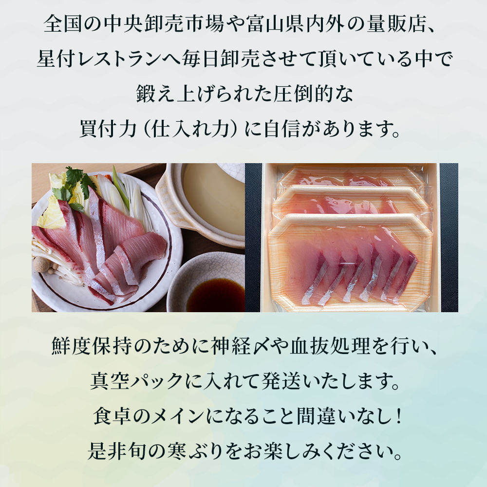 【先行予約】氷見産 天然寒ぶり ぶりしゃぶ 5パック 5-6人前 【2025年11月中旬以降順次発送】 釣屋魚問屋直営 ひみ岸壁市場_イメージ4