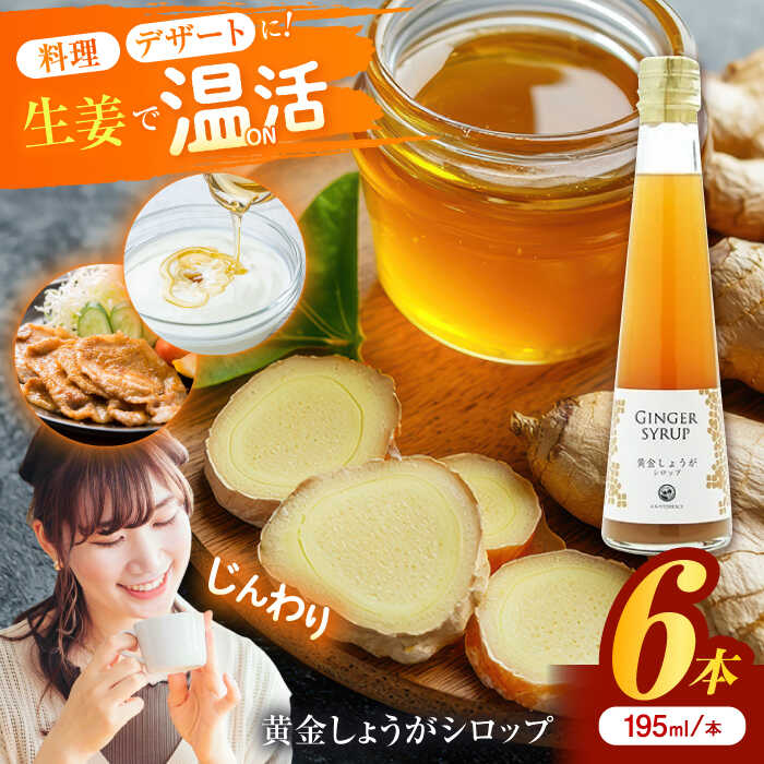【ふるさと納税】黄金しょうがシロップ6本/ 土佐生姜 ほっこりジンジャー【はるのTERRACE】[ATAV008]