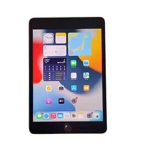 【数量限定】iPad mini 4 スペースグレー | iPad iPad iPad iPad iPad |