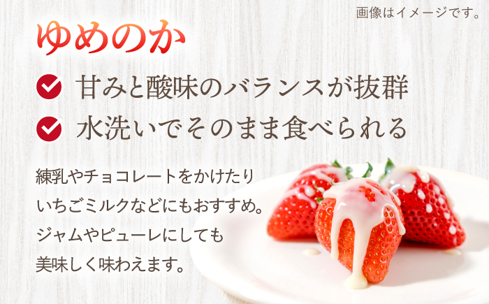 【先行予約】 ゆめのか いちご 計1kg（250g×4パック）＜川原農園＞ [CDR009]  長崎 西海 いちご 苺 イチゴ 贈答 ギフト