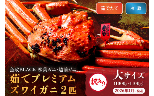 2026年1月～発送＜土日祝着>訳あり【蟹の匠 魚政】茹で　プレミアムズワイガニ 魚政BLACK（松葉ガニ・越前ガニ） 大サイズ（1000～1100g） 2匹セット　【2026年1月～発送：土日祝】＜冷蔵＞ 松葉がに 松葉蟹 越前蟹 ズワイガニ 姿 ボイル ゆで 越前かに わけあり　UO01323