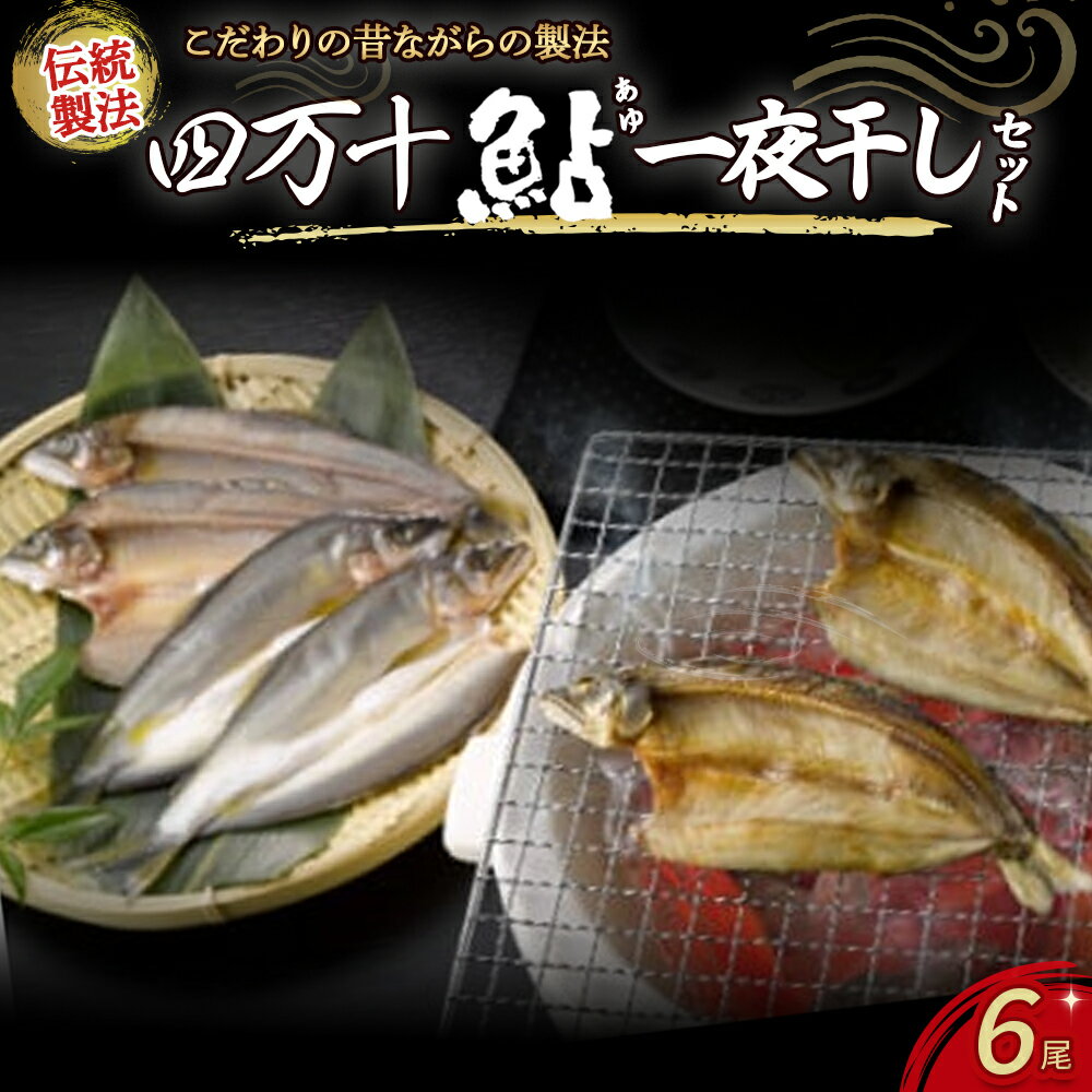 【ふるさと納税】 四万十鮎一夜干しセット6尾 / Ess-A02 あゆ アユ 鮎のひらき 一夜干し 干物　あゆ アユ 鮎のひらき あゆのひらき 魚 魚介 川魚 塩焼き 干物 ひもの 海鮮 国産 無添加 冷凍