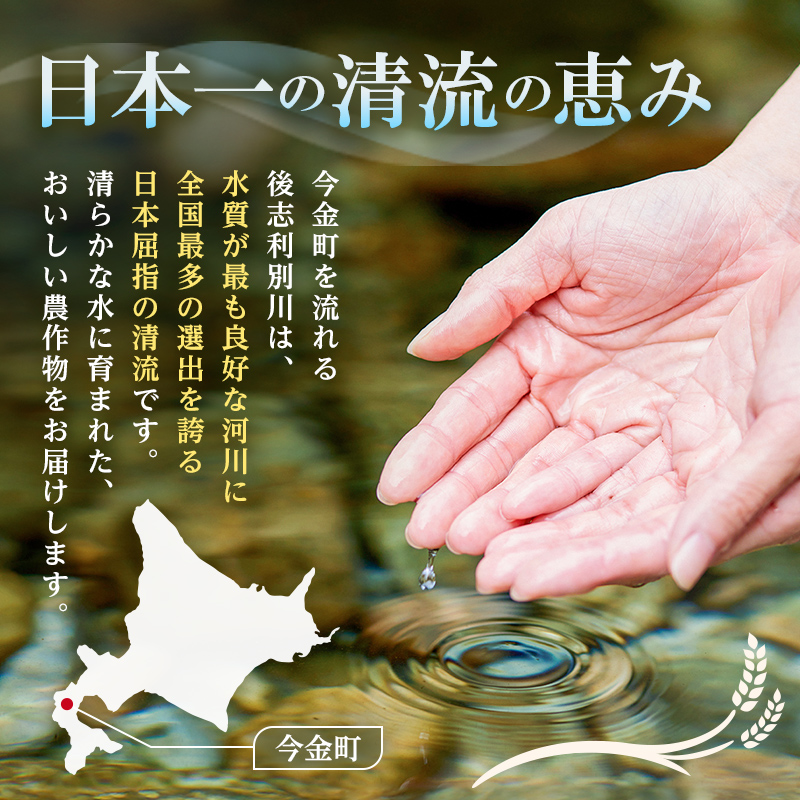 【順次発送】令和7年産 ゆめぴりか 10kg(5kg×2) 北海道 今金町産 米 白米 米俵  F21X-757