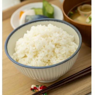 ふるさと納税 酒田市 【毎月定期便】山形県産はえぬき　精米5kg全6回 |  | 02