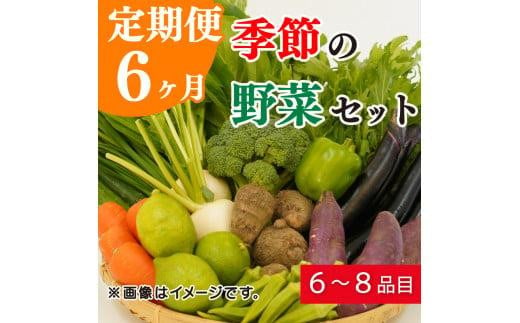 
定期便 6回 季節 お楽しみ 野菜 詰め合わせ セット 6～8種 緑新鮮市 キャベツ 人参 にんじん きゅうり じゃがいも なす ほうれん草 小松菜 ピーマン かぼちゃ 白菜 大根 さつまいも 玉ねぎ たまねぎ ブロッコリー トマト オクラ レモン ネギ 生姜 栗 愛媛県 愛南町
