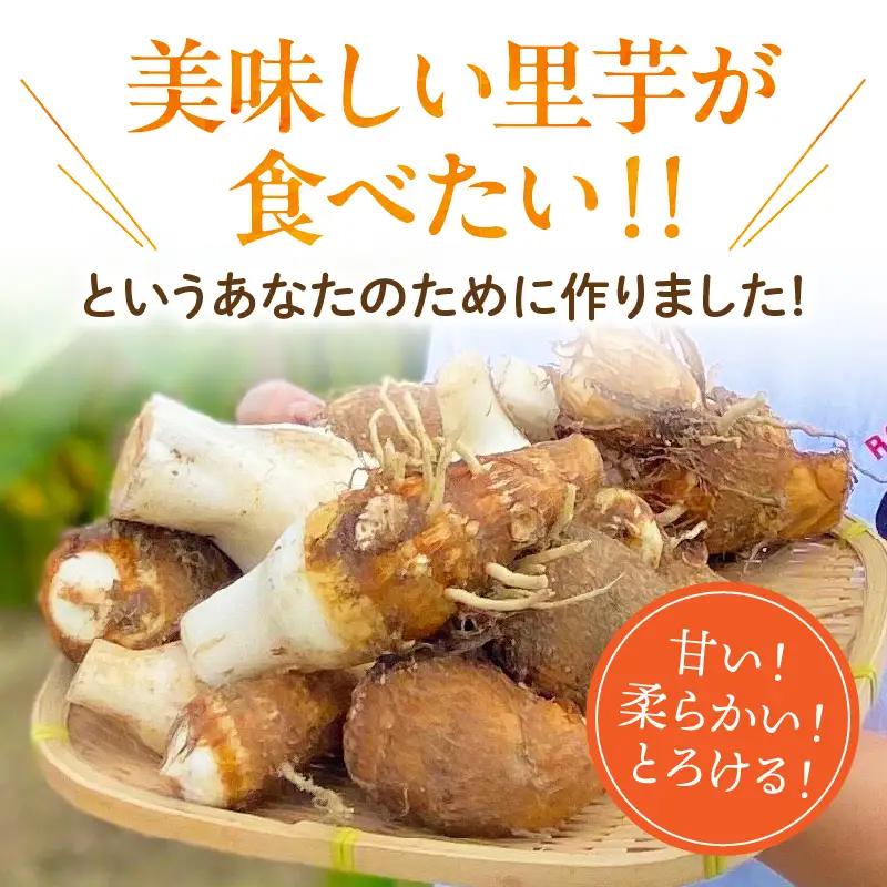 【定期便5ヶ月】里芋『とろまろ』土付き 4.5kg・H141
