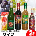 【ふるさと納税】ワイン メルシャン 5本 詰め合わせ セット 藤沢 工場産 メルシャンワイン 飲み比べ 赤ワイン 赤 白ワイン 白 赤白ワイン 赤白セット サングリア 梅酒 シードル 無添加 お酒 酒 アルコール 神奈川　藤沢市　お届け：ご入金後、1～2週間後に発送