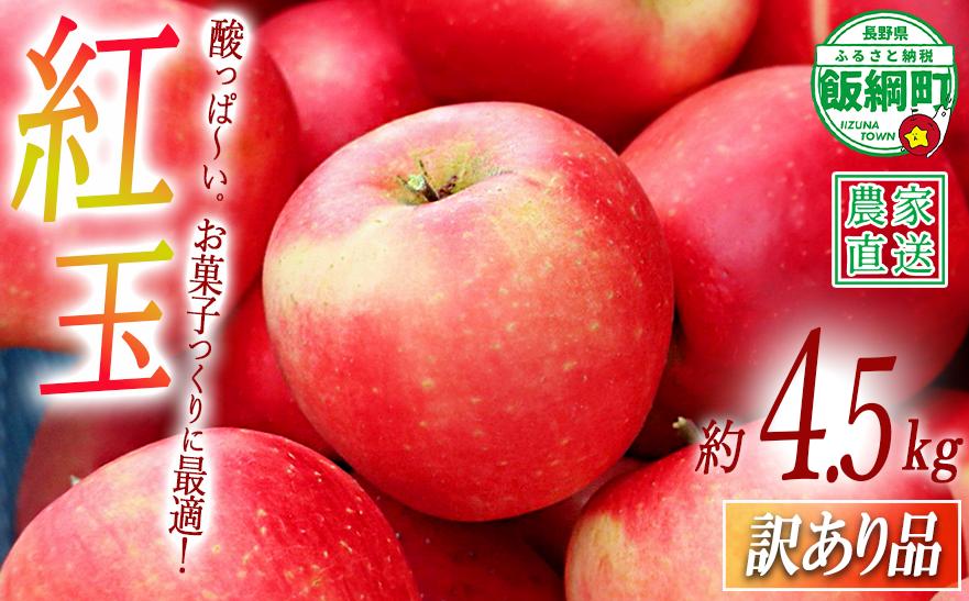 
                  りんご 紅玉 訳あり 4.5kg 中村ファーム 沖縄県への配送不可 2026年9月中旬頃から2026年11月上旬頃まで順次発送予定 令和8年度収穫分 長野県 飯綱町 [1242]
                