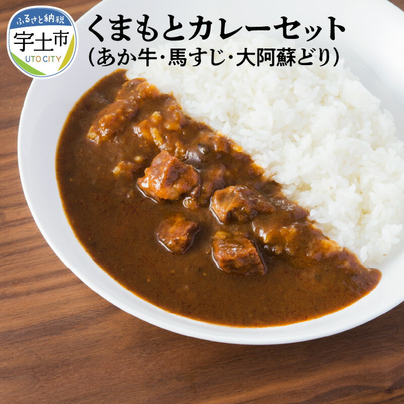 【ふるさと納税】カレー カレーセット あか牛 馬すじ 大阿蘇どり 保存料不使用 着色料不使用 詰め合わせ 熊本【熊本県宇土市】