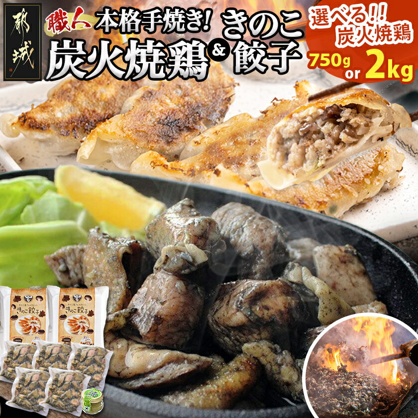 【ふるさと納税】【内容量が選べる！】本格手焼き！炭火焼鶏＆きのこ餃子セット - 炭火焼鶏 国産鶏使用 きのこ餃子 都城産椎茸 きくらげ 豚肉使用 青柚子こしょう付き 炭火焼鶏/150g×5P/500g×4P 送料無料 SKU-1406【宮崎県都城市は2年連続ふるさと納税日本一！】