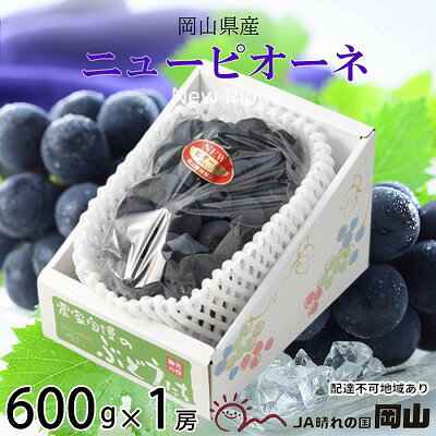 【ふるさと納税】ぶどう 2026年 先行予約 ニュー ピオーネ 約600g×1房 ブドウ 葡萄 岡山県産 国産 フルーツ 果物 ギフト 果物類 　お届け：2026年8月下旬～2026年9月下旬