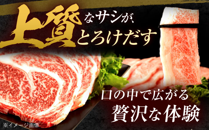 【12回定期便】長崎和牛 ステーキ・焼肉セット 600g×2パック / 牛肉 ぎゅうにく 肉 和牛 国産牛 焼き肉 やきにく ステーキ すてーき / 諫早市 / 西日本フード株式会社 [AHAV036
