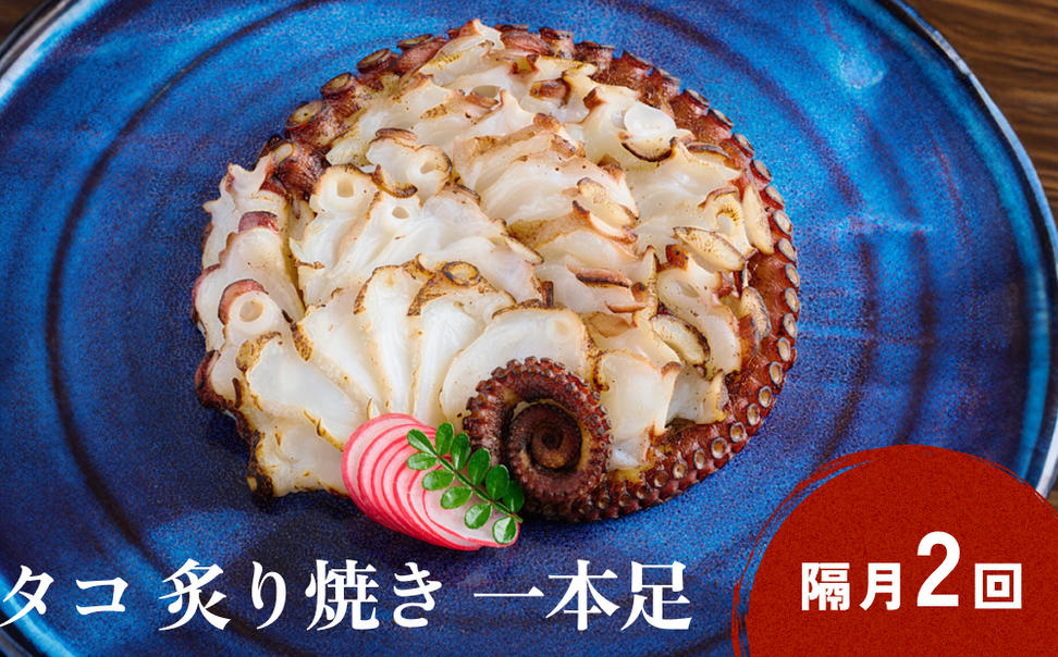 活タコ 炙り焼き 一本足 定期便 隔月 2回 タコ たこ 直火焼き おかず おつまみ 蛸 刺身