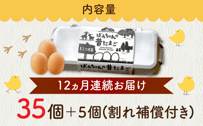 【全12回定期便】ばあちゃんの昔たまご 計480個（35個+5個×12回（割れ補償付き）） / 平飼い卵 / 佐賀県 / 素ヱコ農園 [41AEAA009]