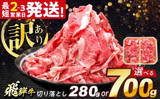 飛騨牛 切り落とし 700g 多治見市 / 養老ミート 飛騨牛 牛肉 和牛 冷凍 赤身 和牛 訳あり ギフト [THG001]