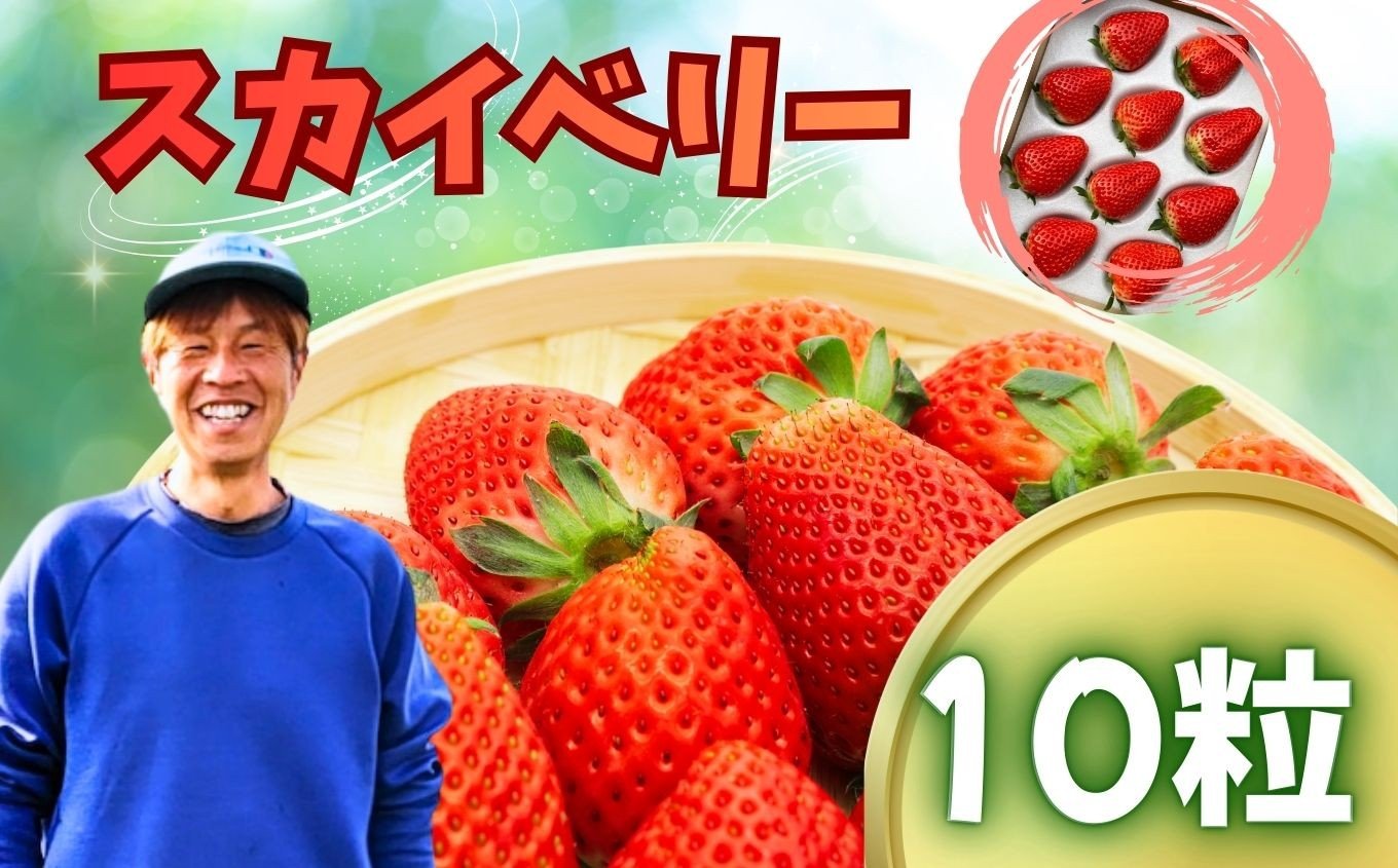 
                  スカイベリー　10粒 |  赤  大粒 上品 華やか 苺 strawberry ストロベリー おいしい 甘い ジューシー 贈答用 プレゼント ご褒美 スイーツ おやつ 高評価 人気 レビュー 栃木県 真岡市 日本一 送料無料
                