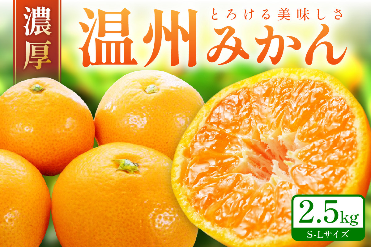 
                  「濃厚な味のとろける美味しさ」温州みかん 2.5kg 《先行予約》ミカン  サイズ混合 Ｓ～Ｌサイズ 甘い 果物 フルーツ 濃厚 産地直送 期間限定 デザート 贈り物  贈答
                