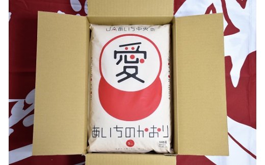 愛知県産　あいちのかおり10kg　H017-099