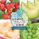 【ふるさと納税】【2025年度 先行予約】涼風フルーツ定期便 全4回 さくらんぼ メロン 桃 シャインマスカット 果物 フルーツ FSY-2069
