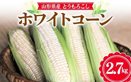 ≪2026年先行予約≫【お天道農園】山形県産 とうもろこし ホワイトコーン ピュアホワイト 2.7kg（7～9本） 2026年7月下旬から順次発送 F2Y-6973