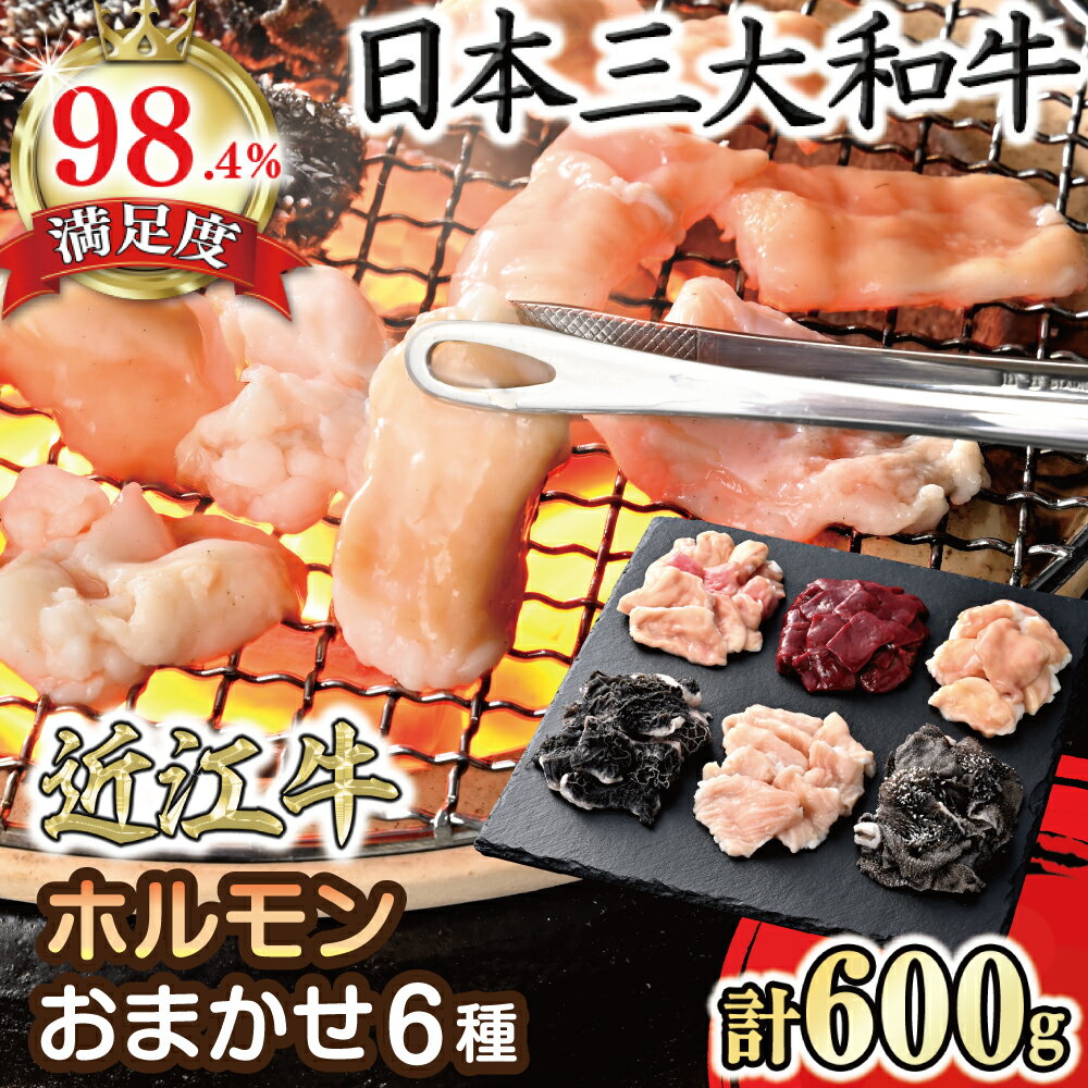 【ふるさと納税】【カメチク】近江牛ホルモンおまかせ6種類【牛肉】【牛】【焼肉】【ホルモン】【牛丼】【国産】
