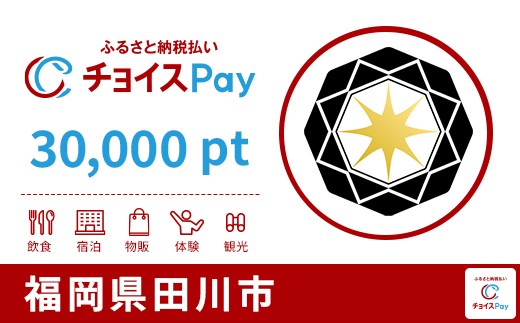 
            田川市チョイスPay 30,000pt【会員限定のお礼の品】
          