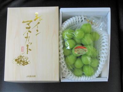 シャインマスカット 1房化粧箱入り (約550g)