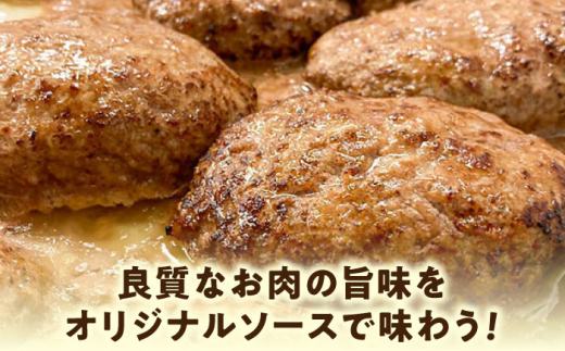 プレミアムハンバーグセット 20個入り ハンバーグ ソース付き ハンバーグ 選べるソース入 牛肉 ビーフ100％ 洋食 はんばーぐ 冷凍 真空パック 人気 ハンバーグ デミソース 手軽 冷凍 20個入
