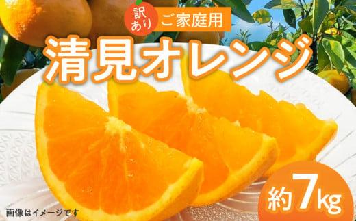 訳あり ご家庭用 清見オレンジ 約7kg【2026-3月中旬～2026-4月上旬配送】